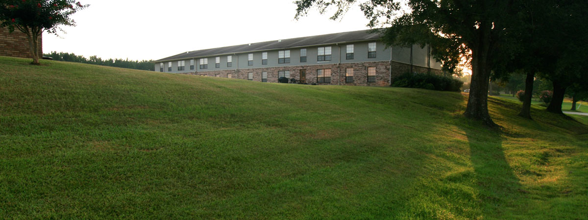 Bright Green Hill