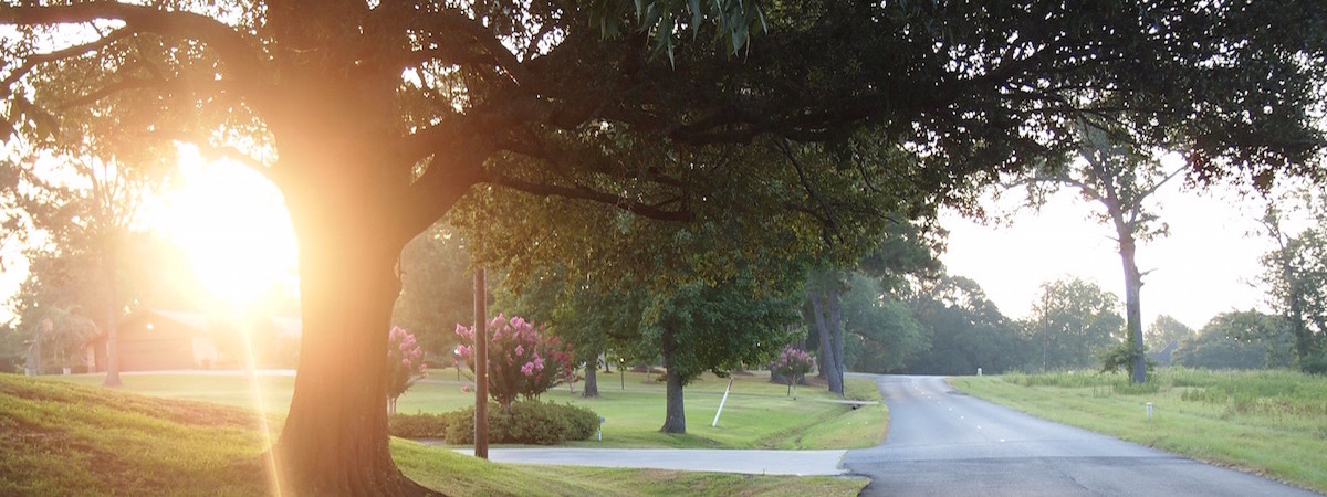 Road with Beautiful Scenery